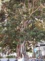 Spanien2010_6 232